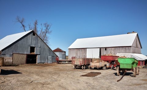 A logging operation in rural Missouri's "Amish County," near the town of Clark