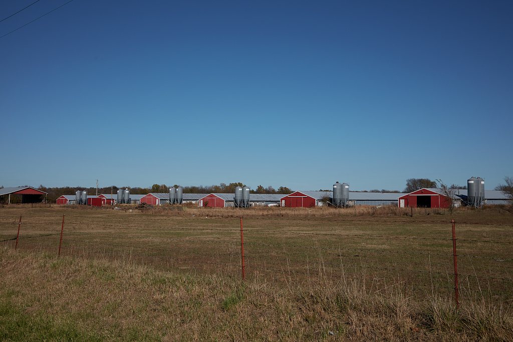 An array of barns and silos outside the rural town of Diamond in Newton County, Missouri
