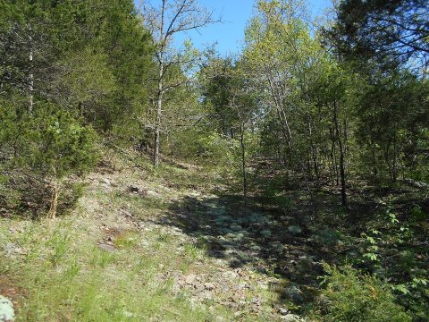 The Stout Creek Bridge Segment trail trace in