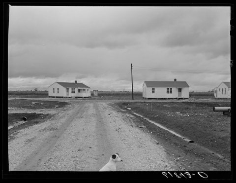 Group labor homes. Morehouse group. New Madrid County, Missouri