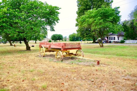 Arbyrd-red-wagon-mo