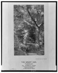 The Grant oak, at Ironton, Mo., underneath which Col. Ulysses S. Grant received his commission as Brigadier General, on…