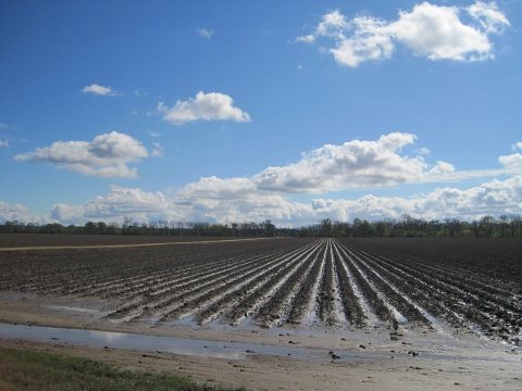 Madison AR 004