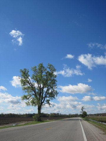 Madison AR 003