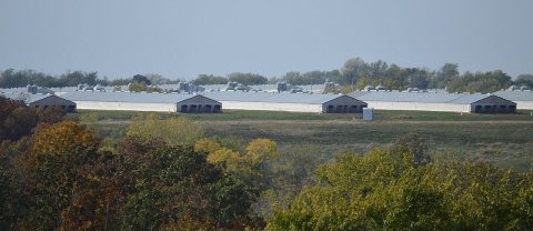 Concentrated animal feeding operation, Missouri (1), cropped