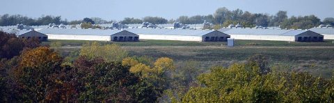 CAFO, Unionville, Missouri, 2013 (1)