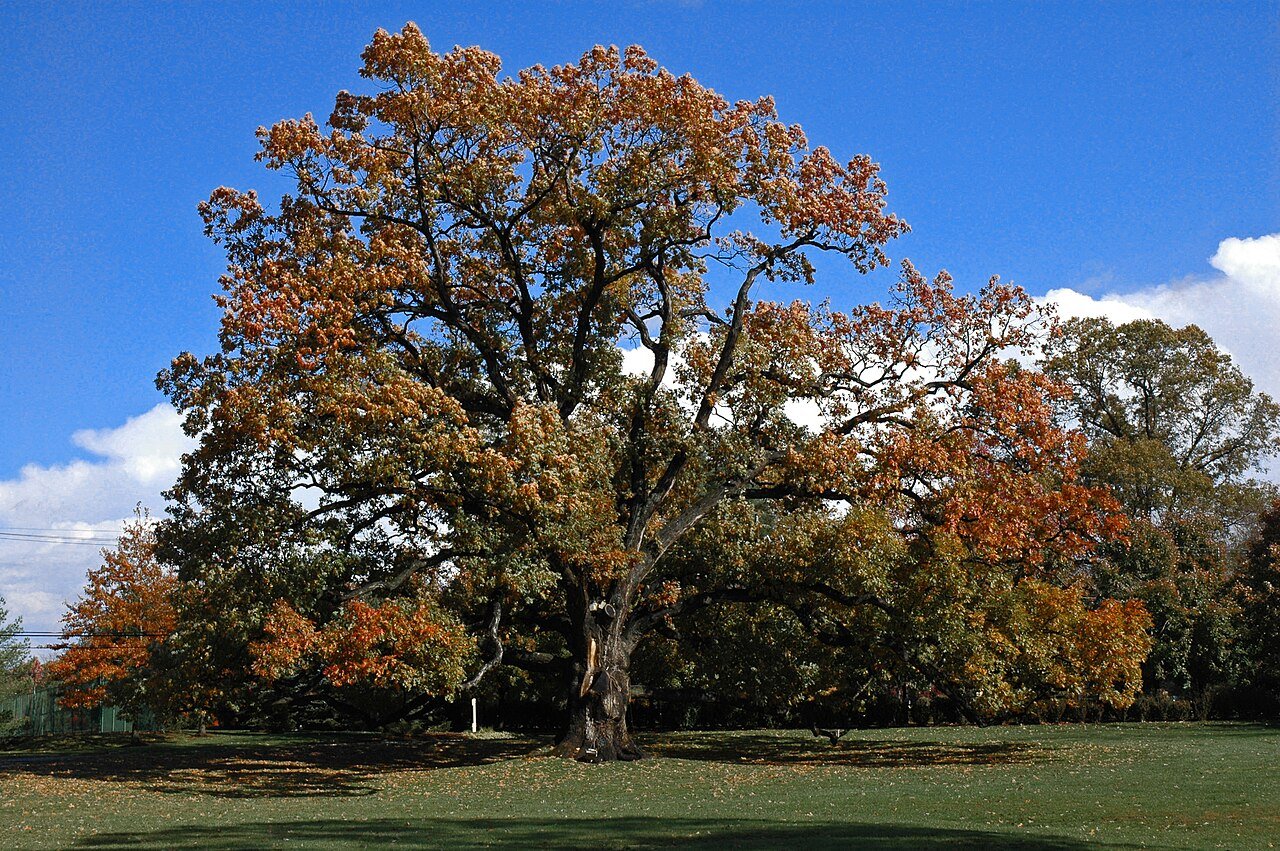 Florham Park