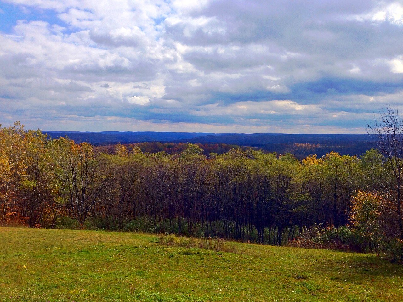 Wellsville