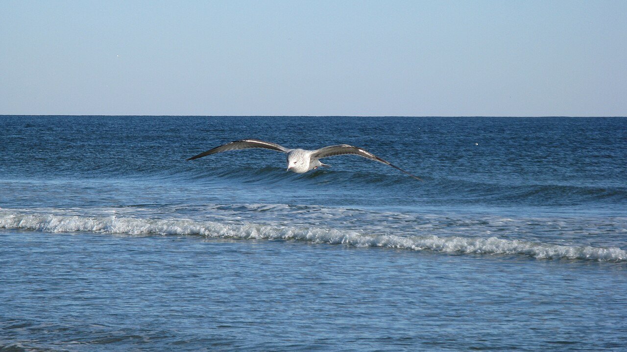 Sunset Beach