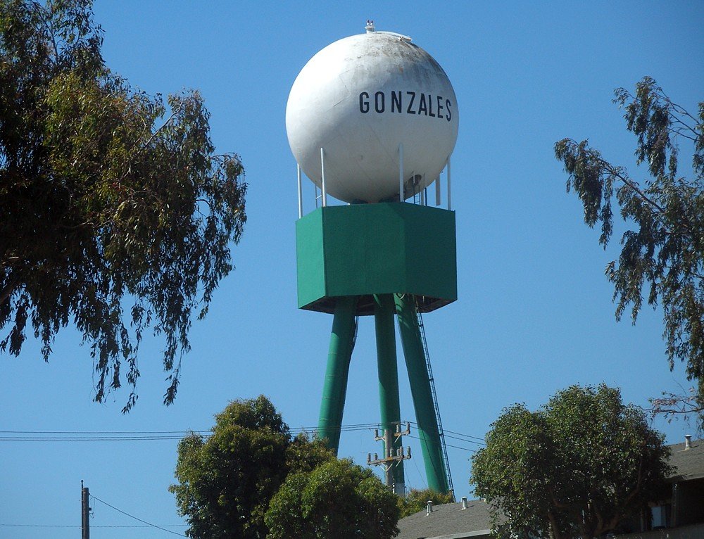 Gonzales
