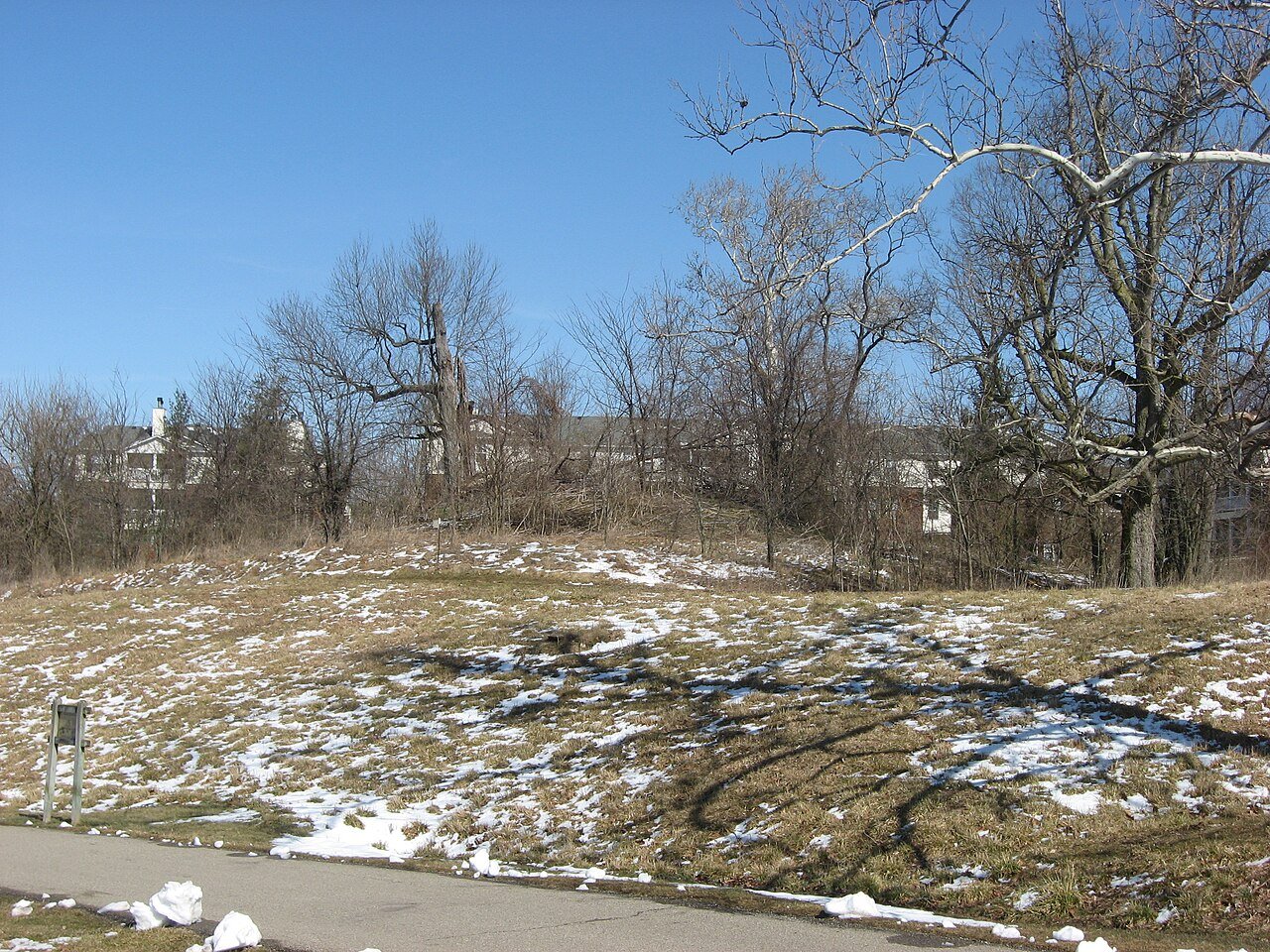 Woodlawn
