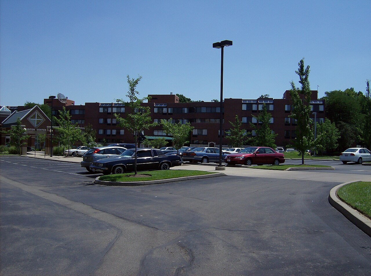 Springdale