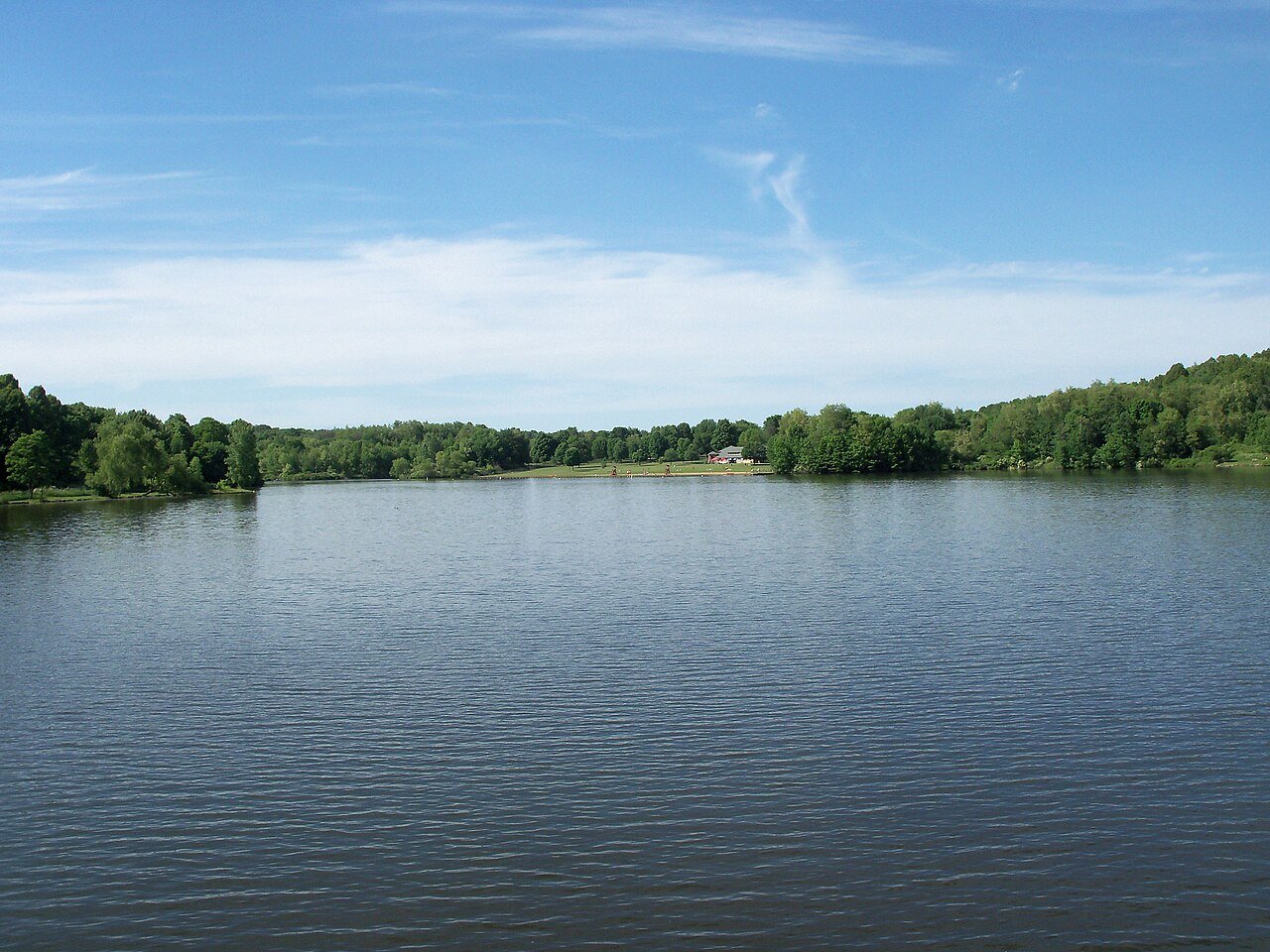 Norton