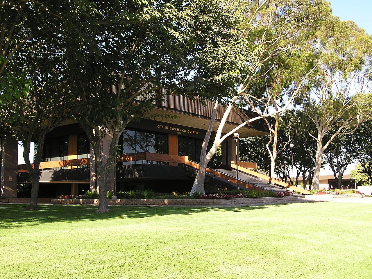 Cypress
