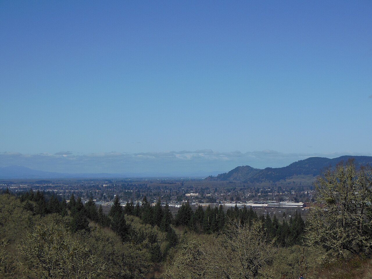 Springfield