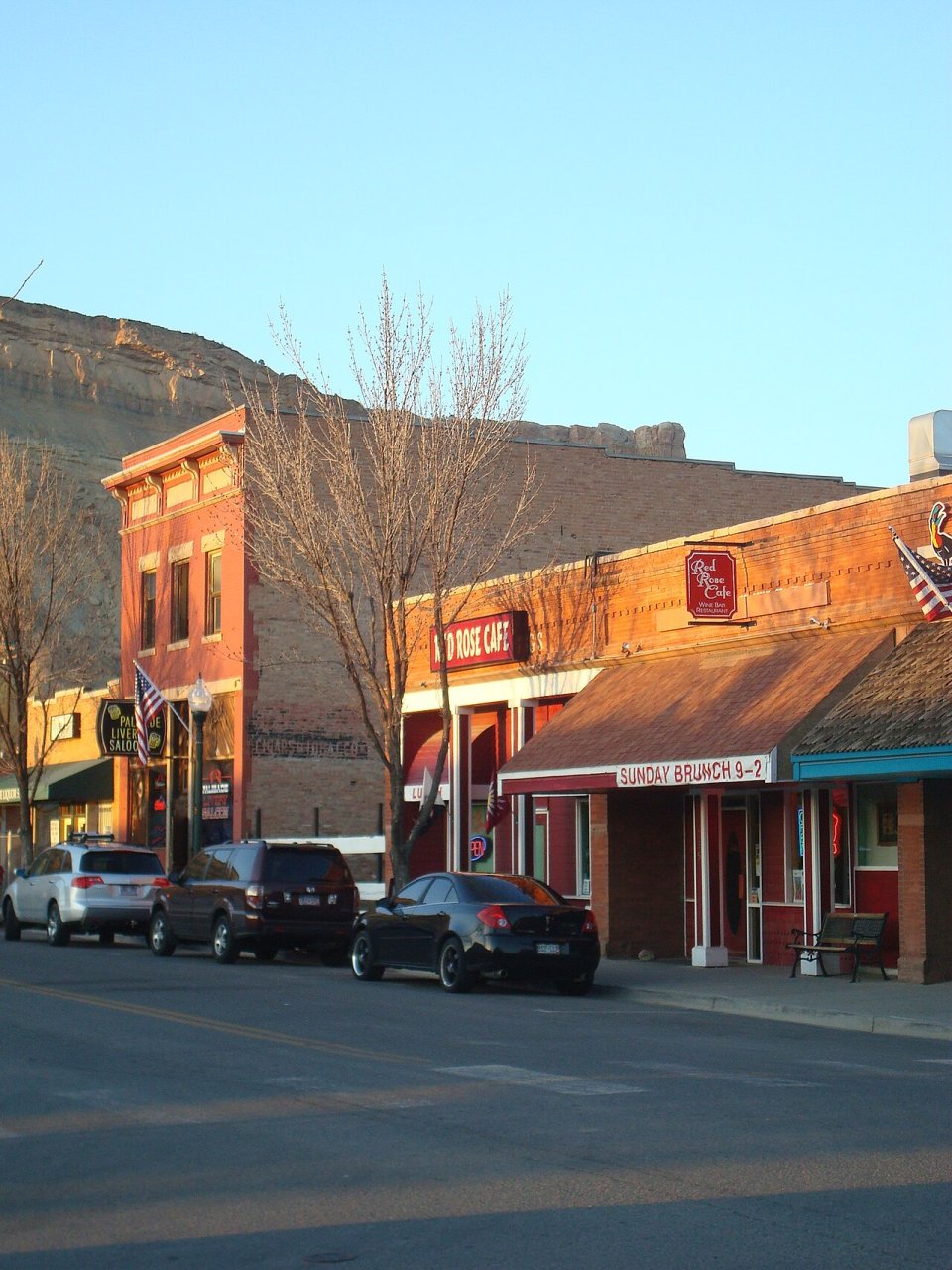 Palisade