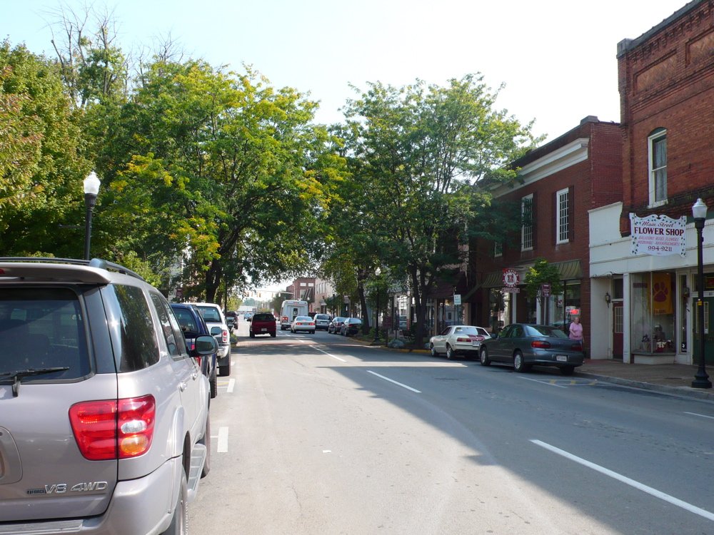 Pulaski