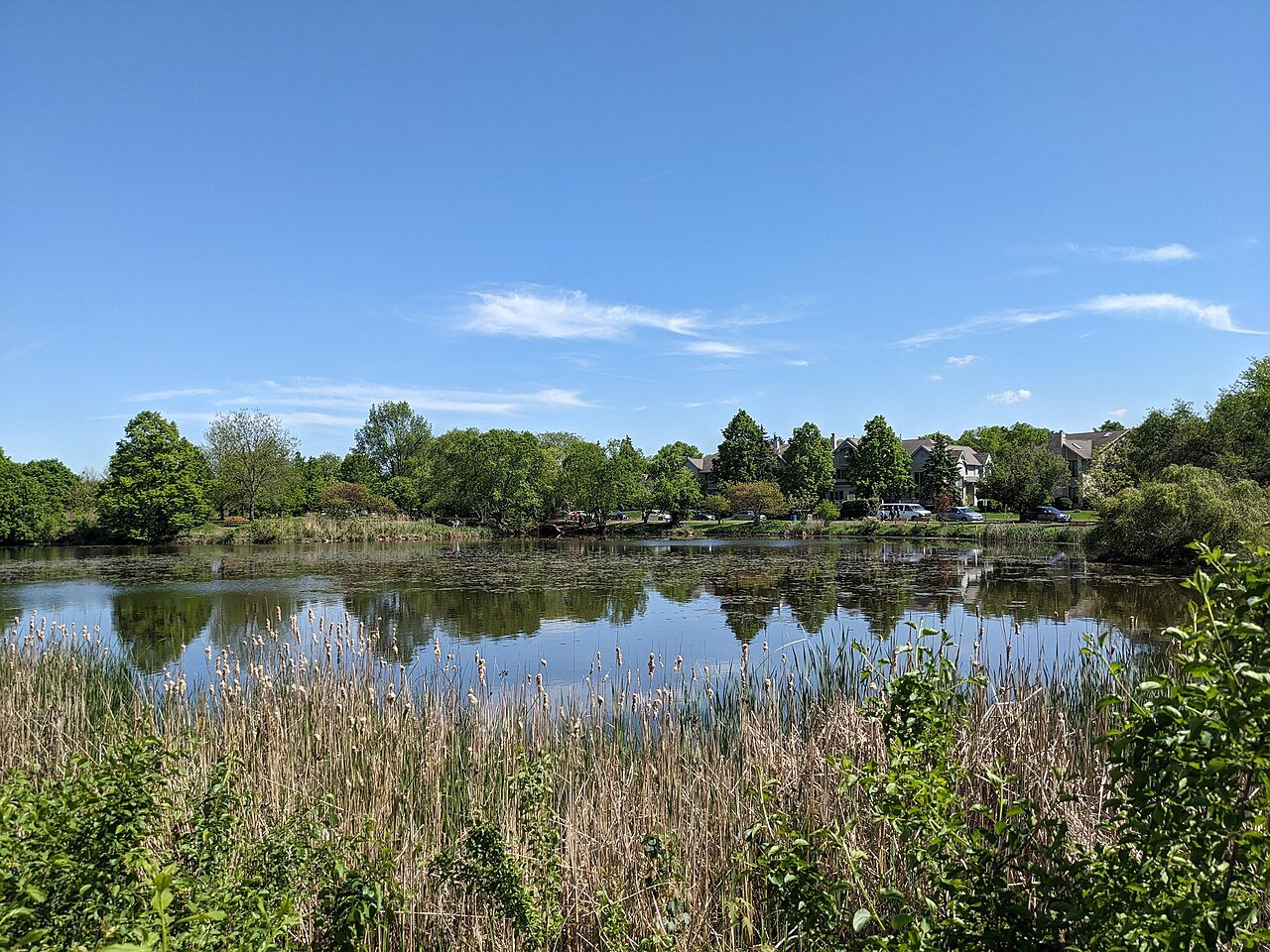 Palos