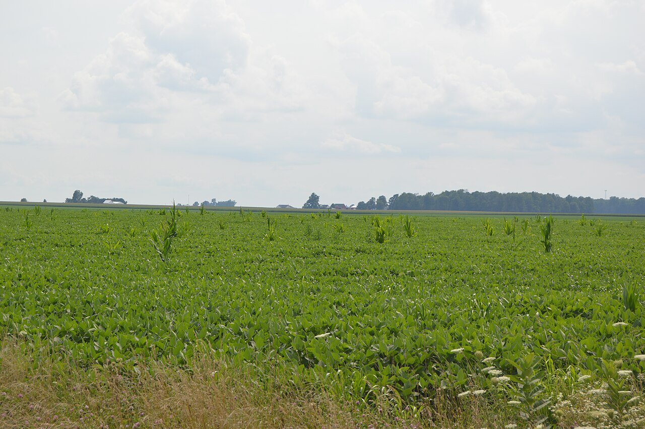 Monroe