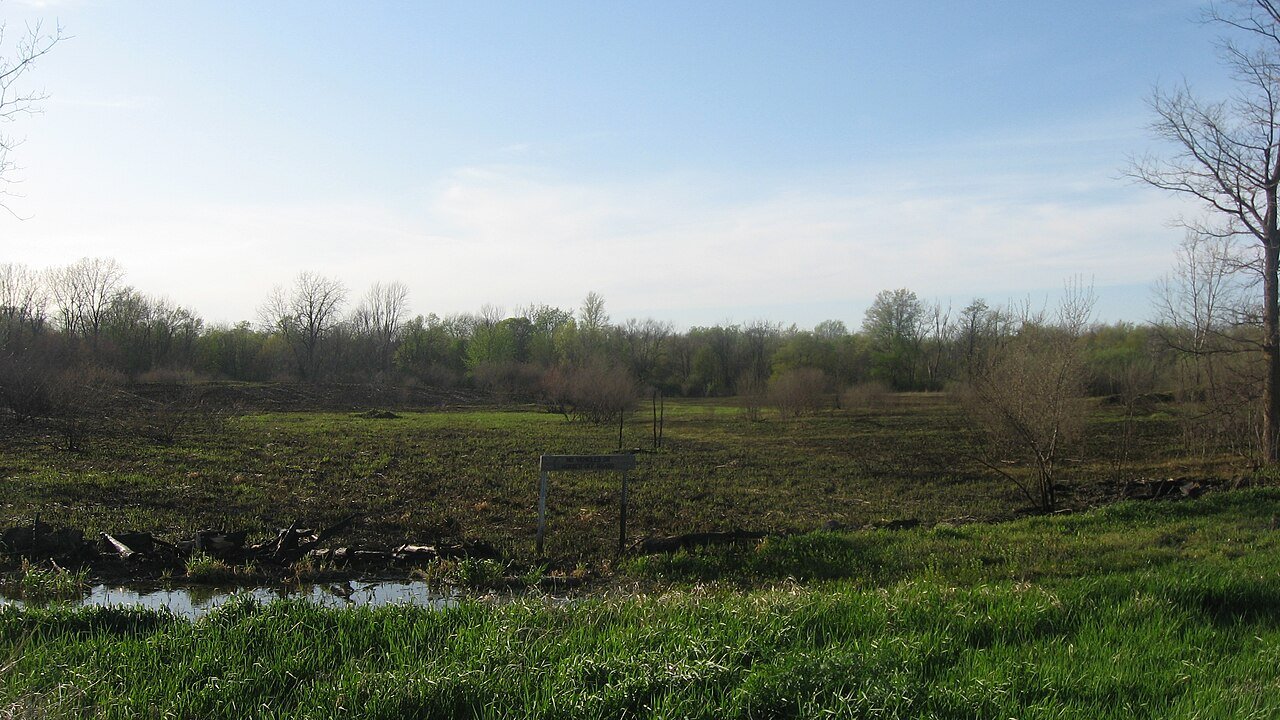 Prairie