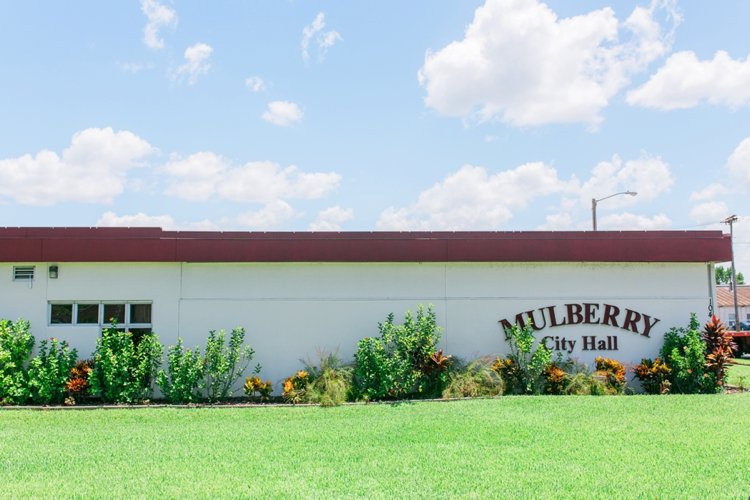 Mulberry