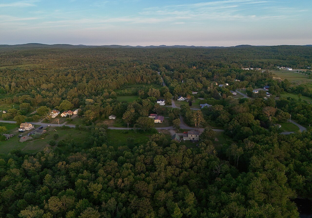 Baring plantation