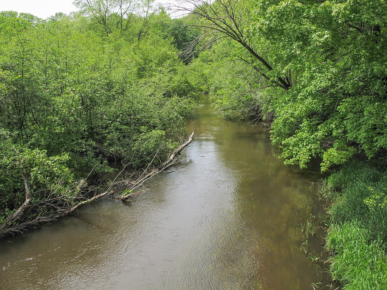 Port Sheldon