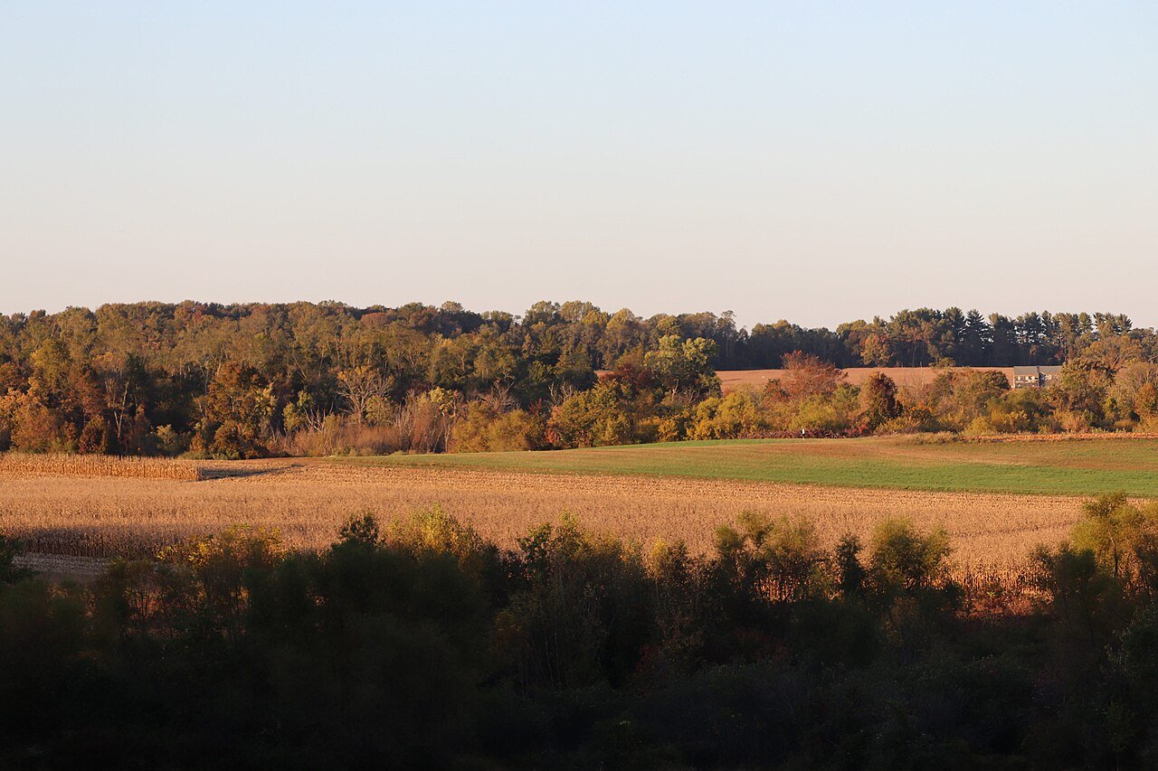 Freehold