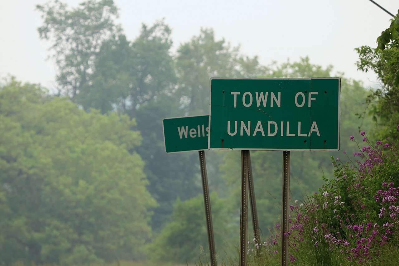 Unadilla