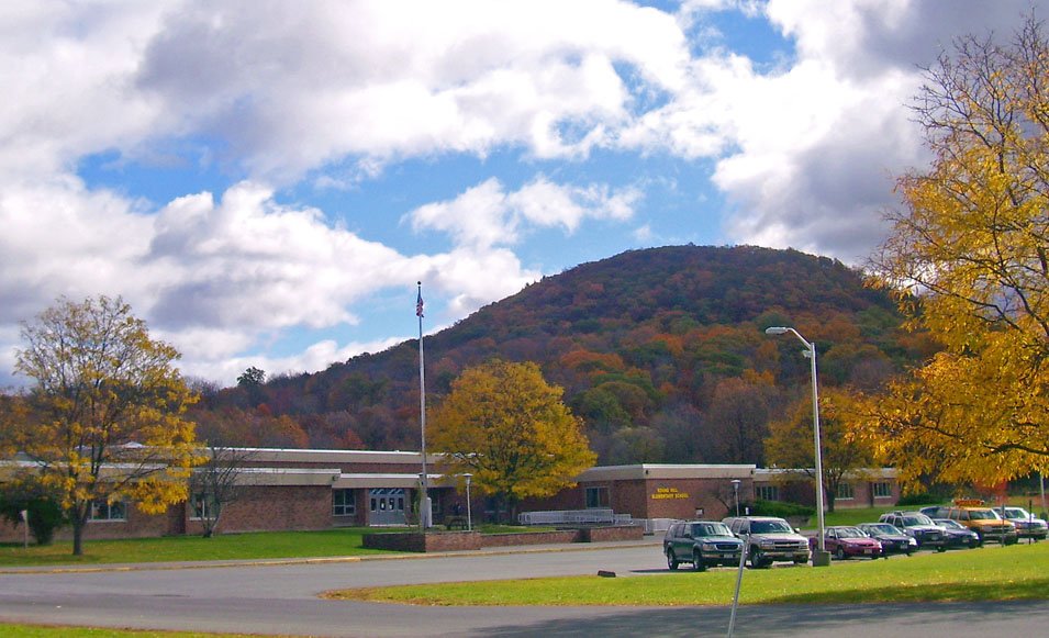 Blooming Grove