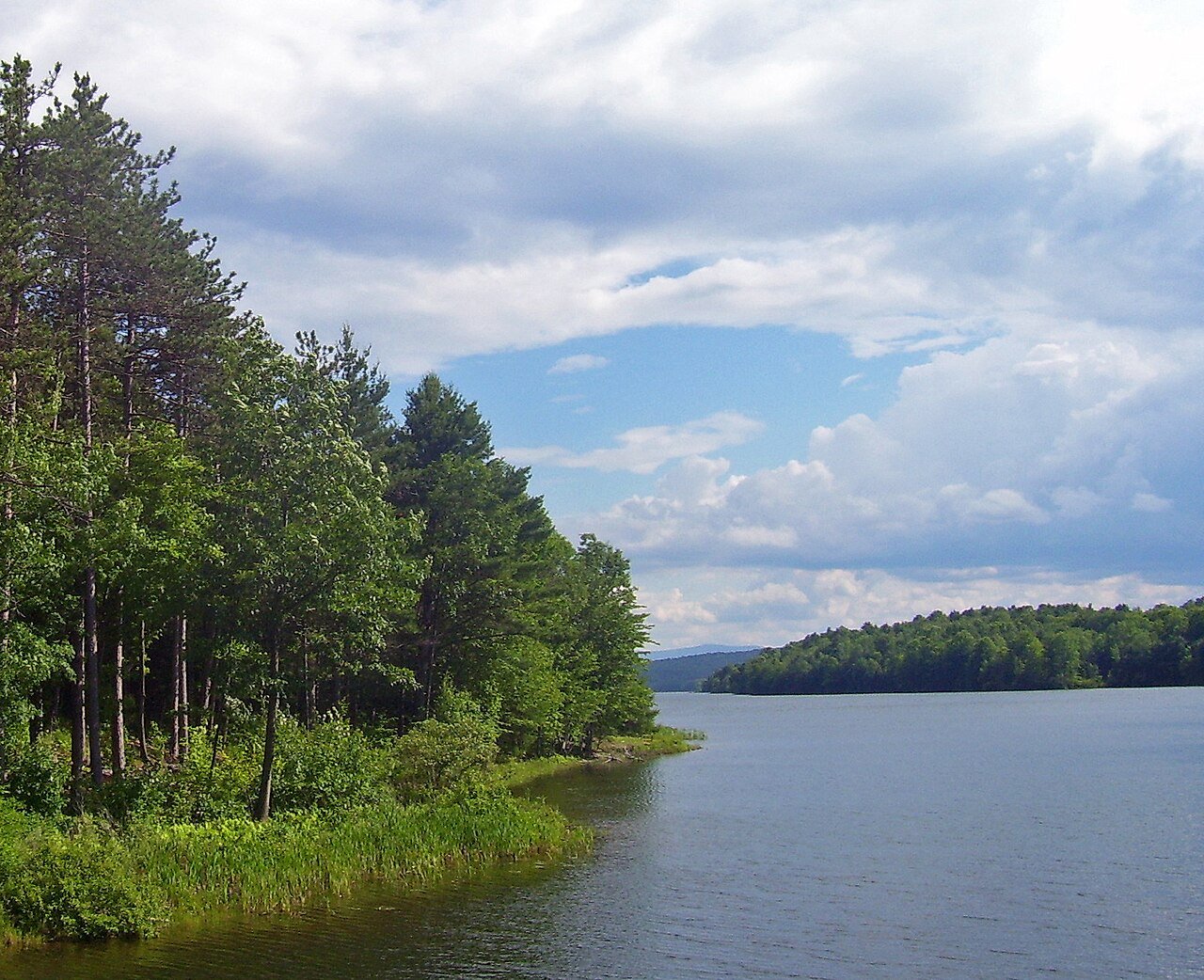 Coeymans