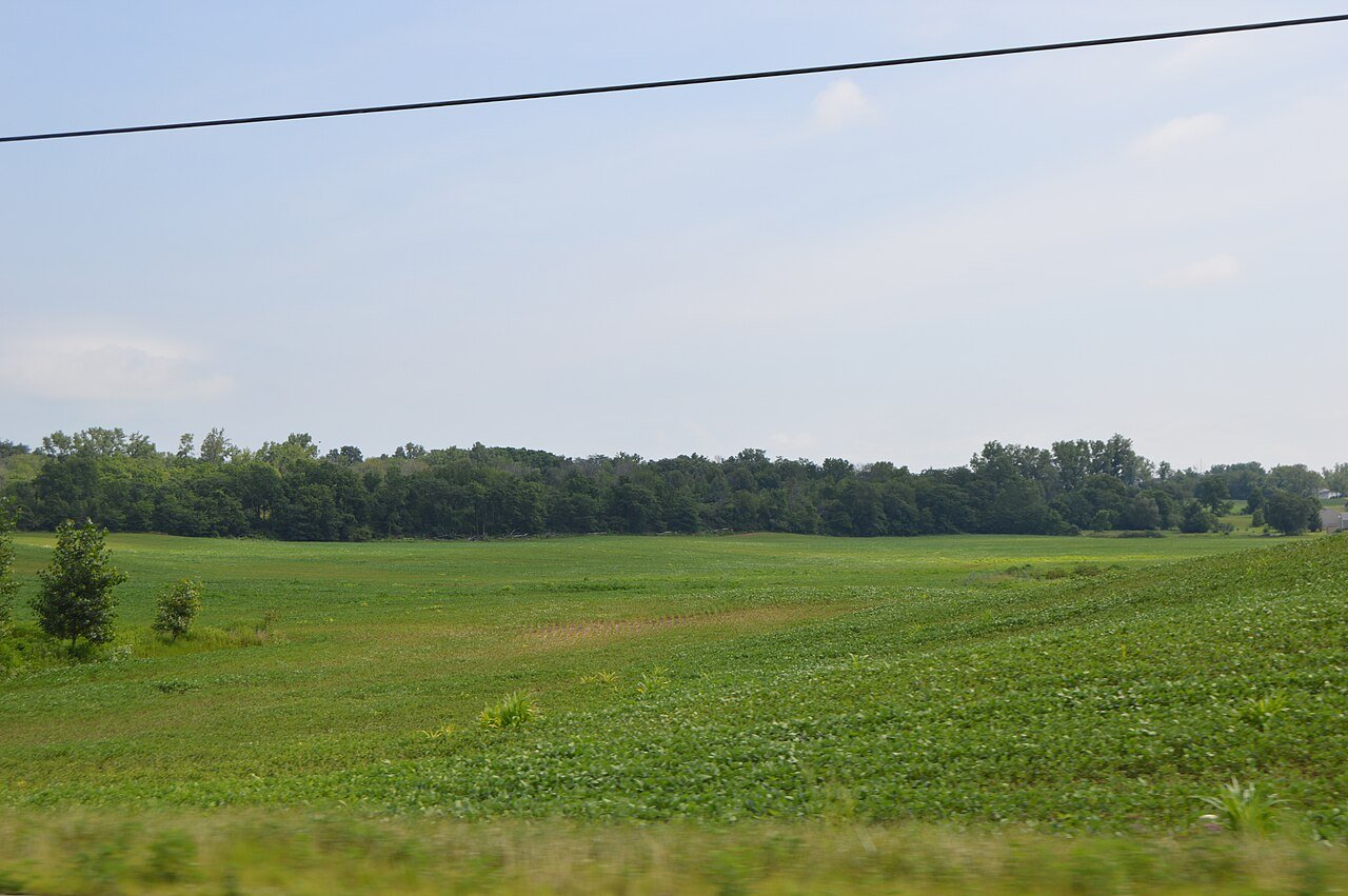 Goshen