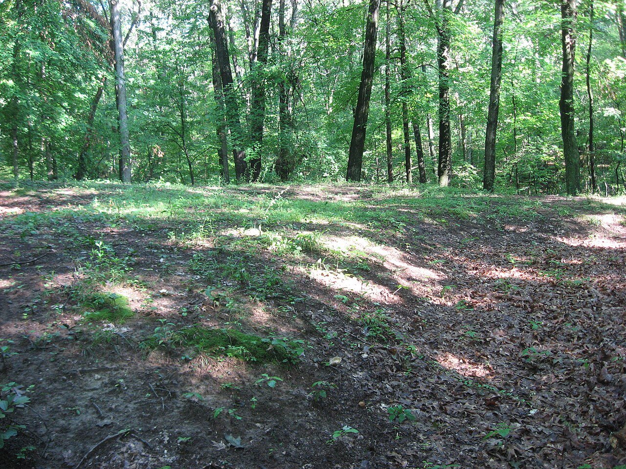 Clearcreek