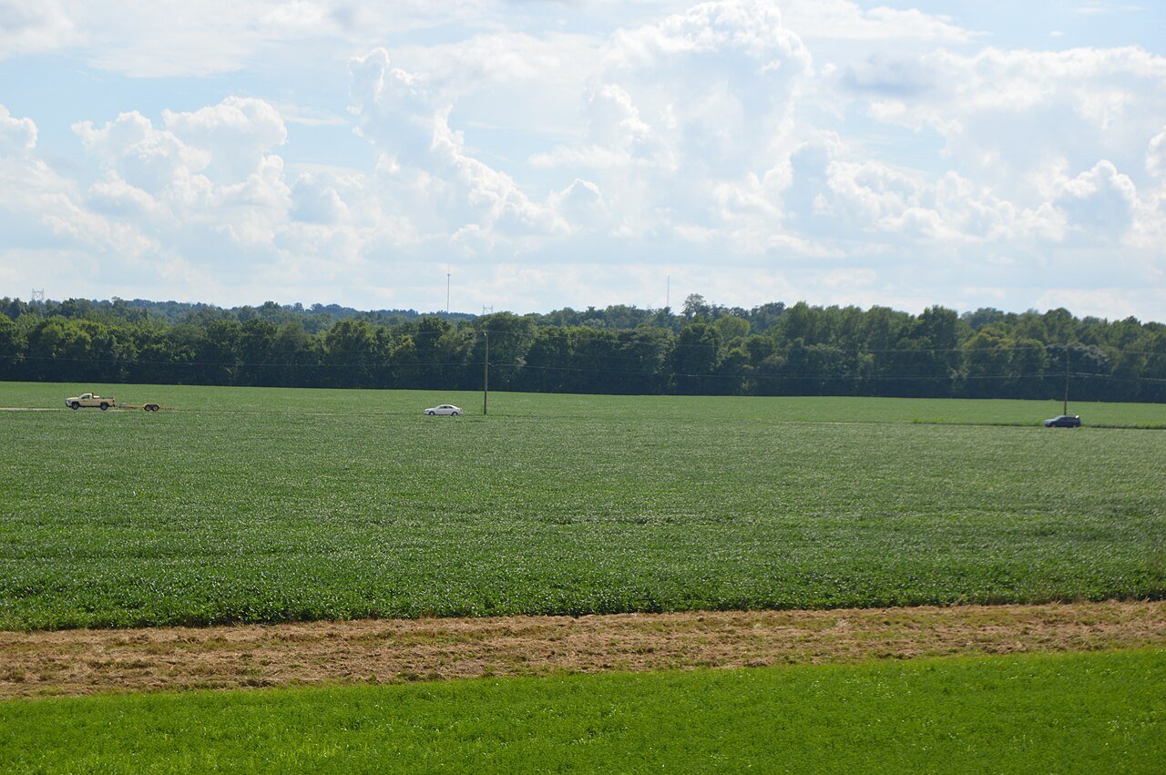 St. Albans
