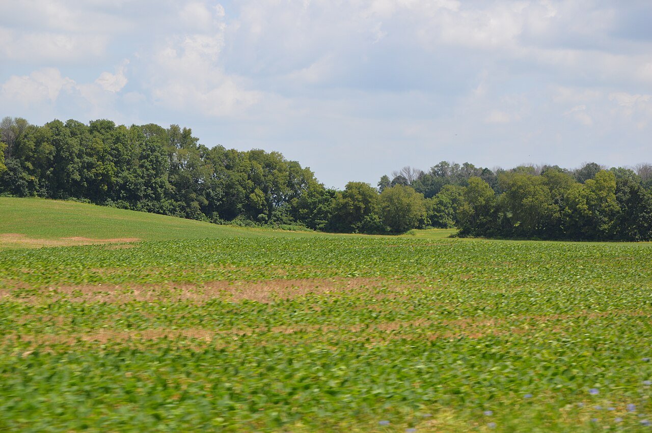 Greenfield