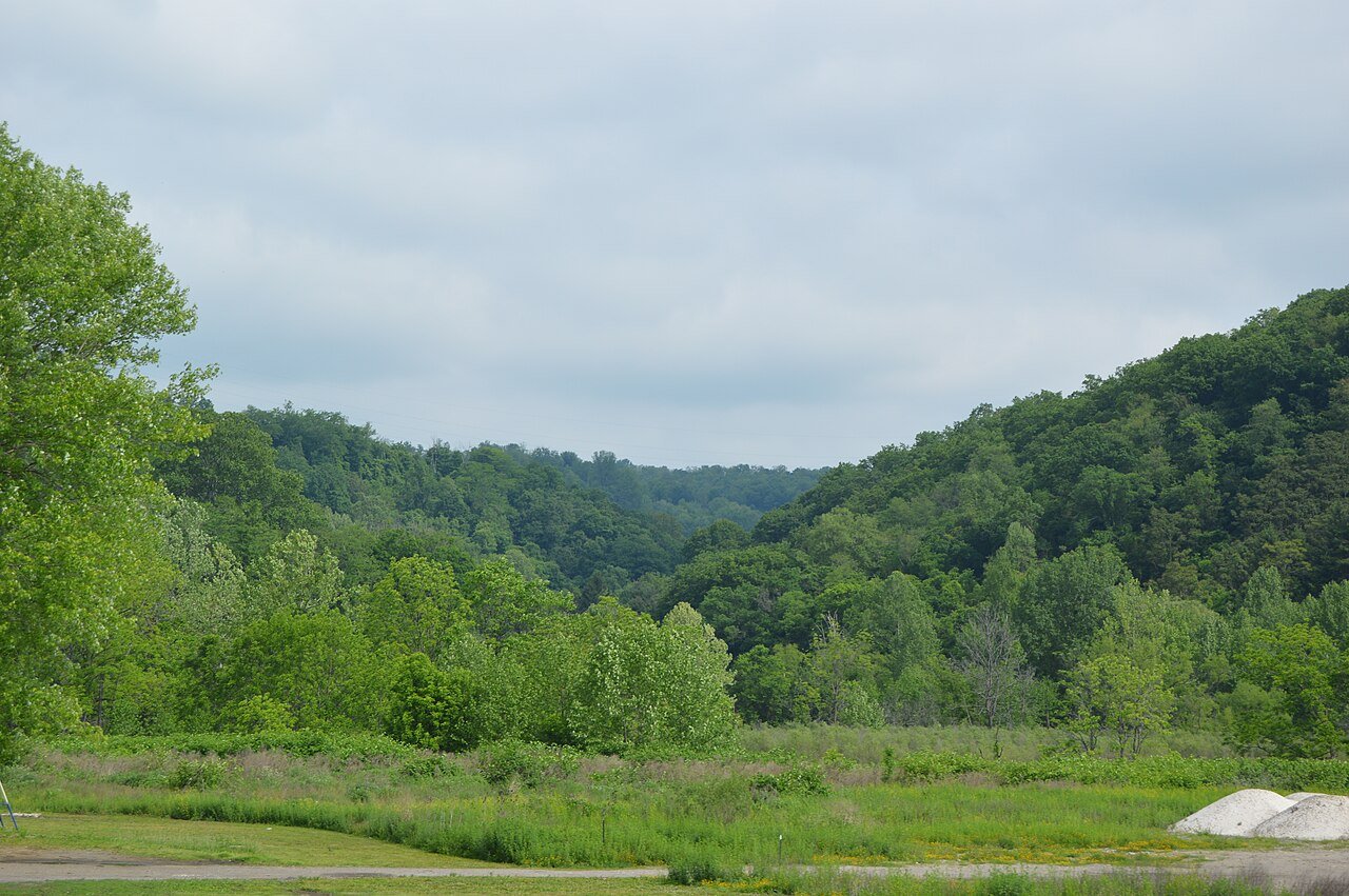 Warren