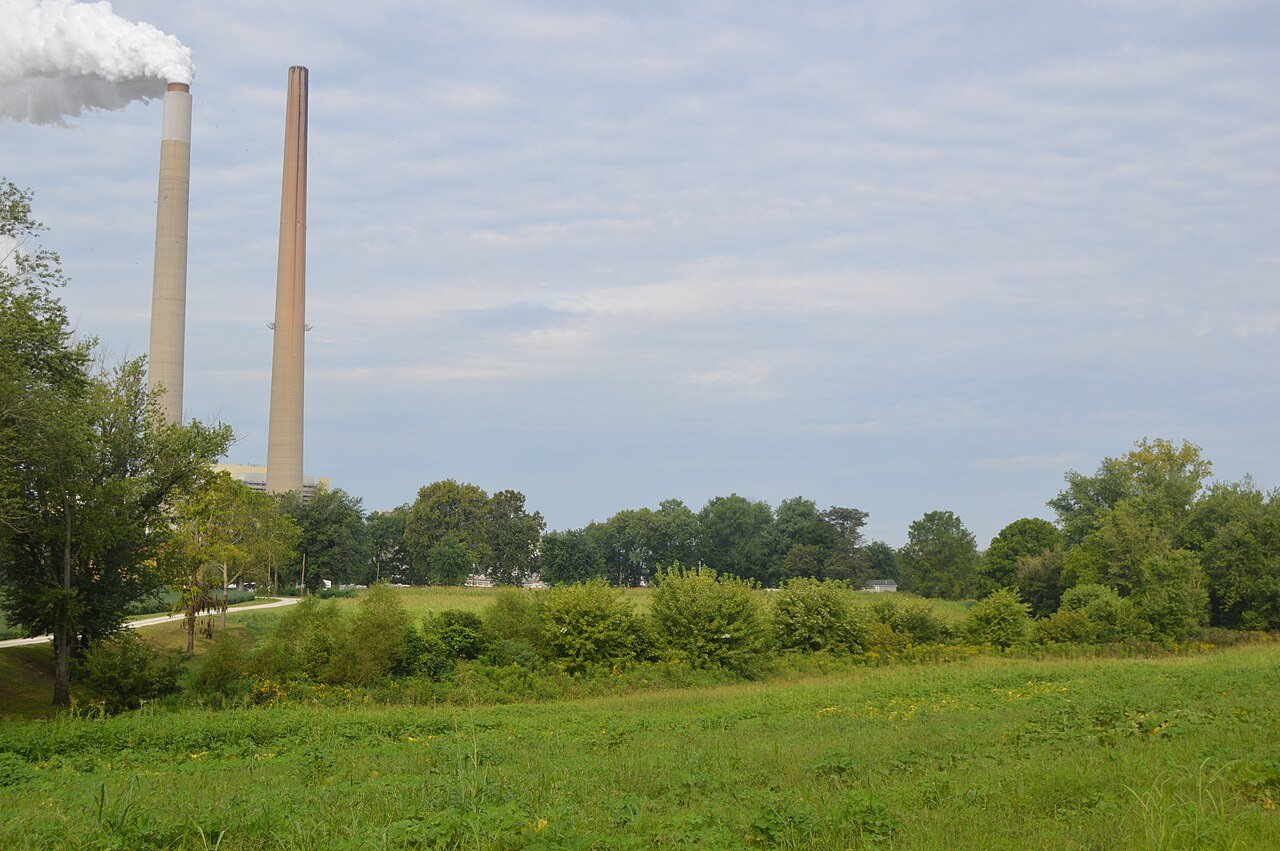 Sutton