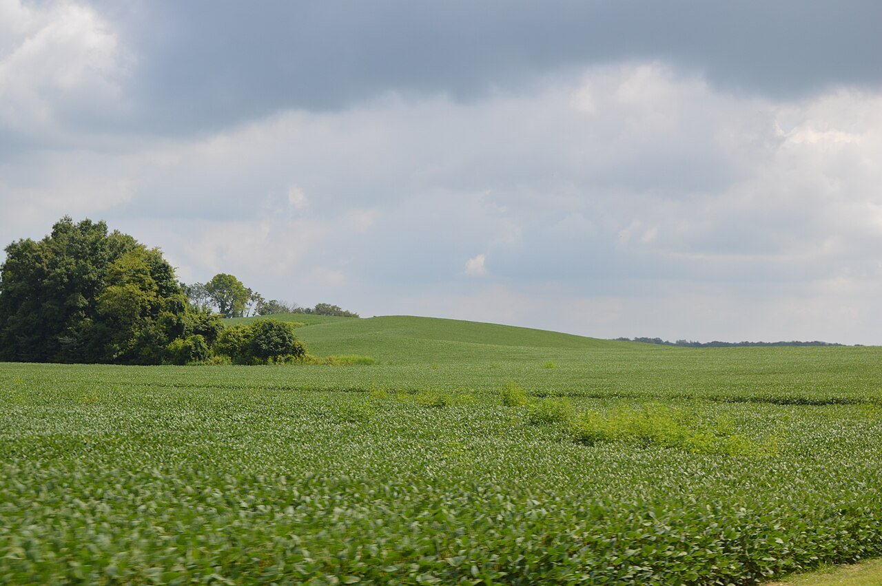 Richland