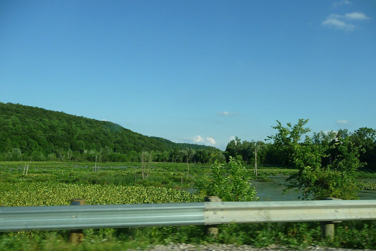 Franklin