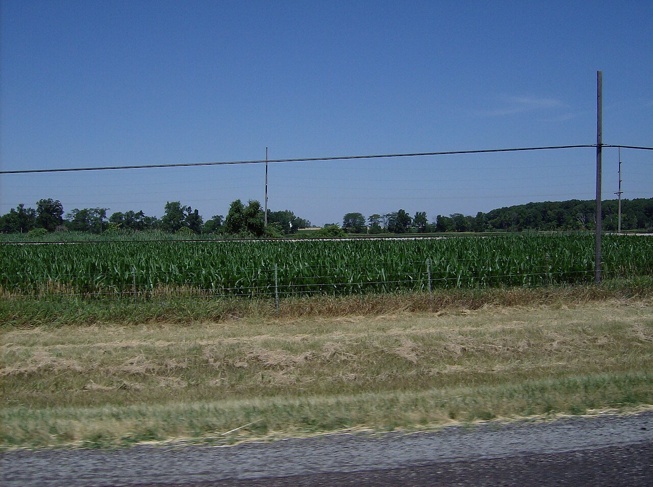 Richland