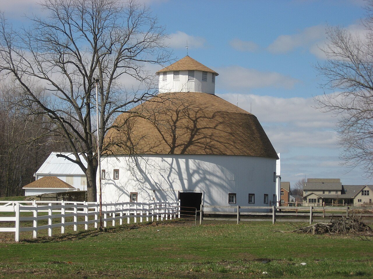 American