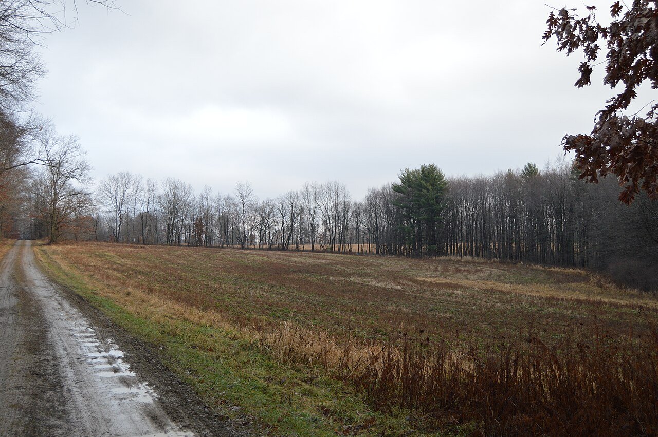 Elk Township field along Martin Road
