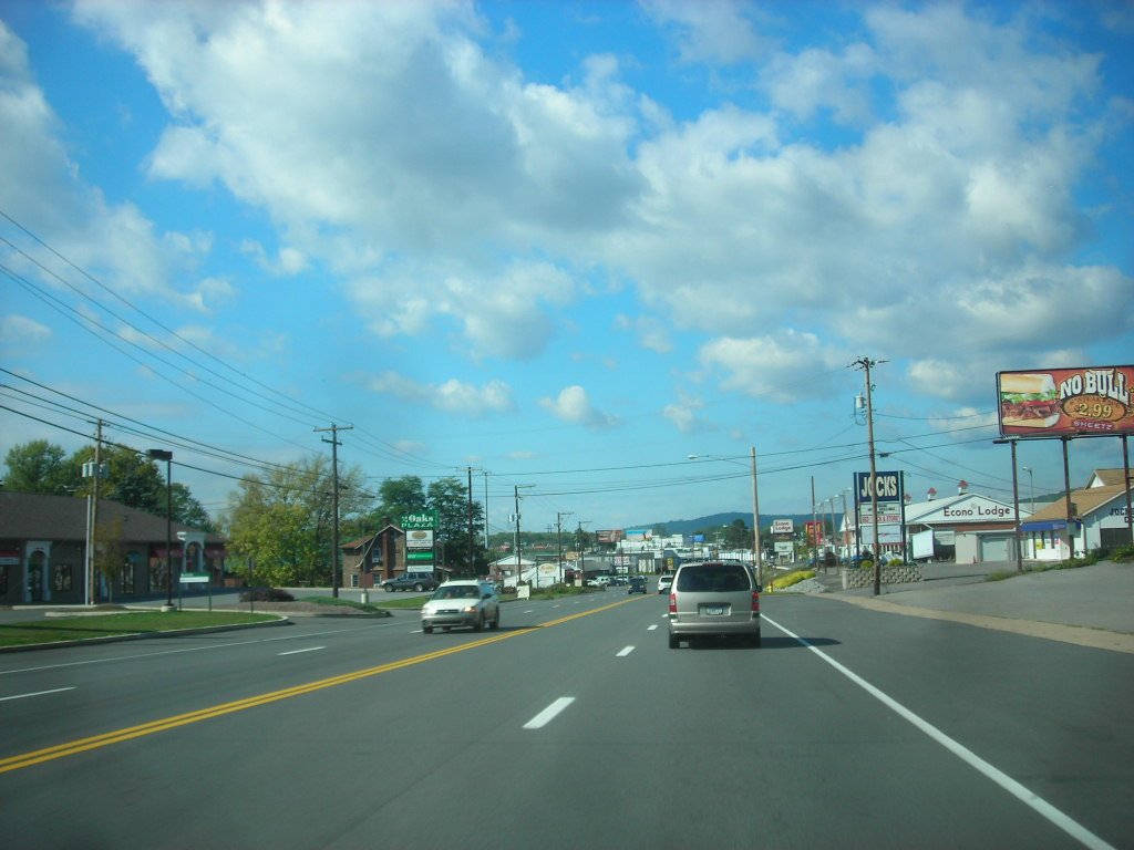 Loyalsock