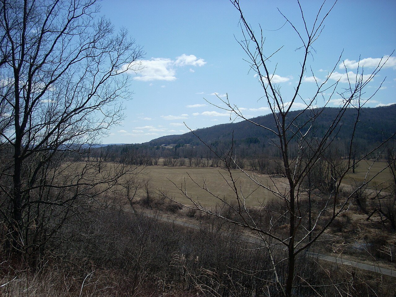 Richmond Township Vista