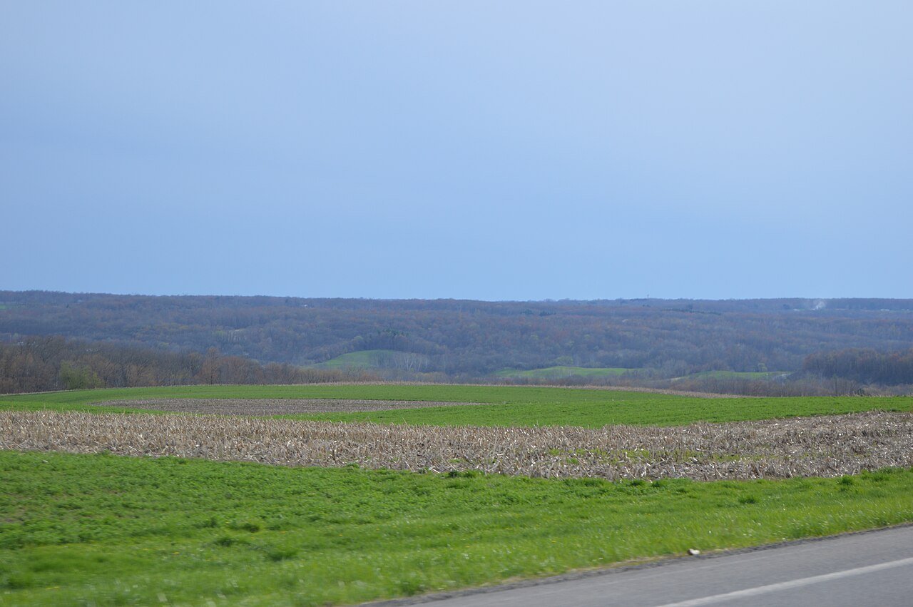 Pulaski