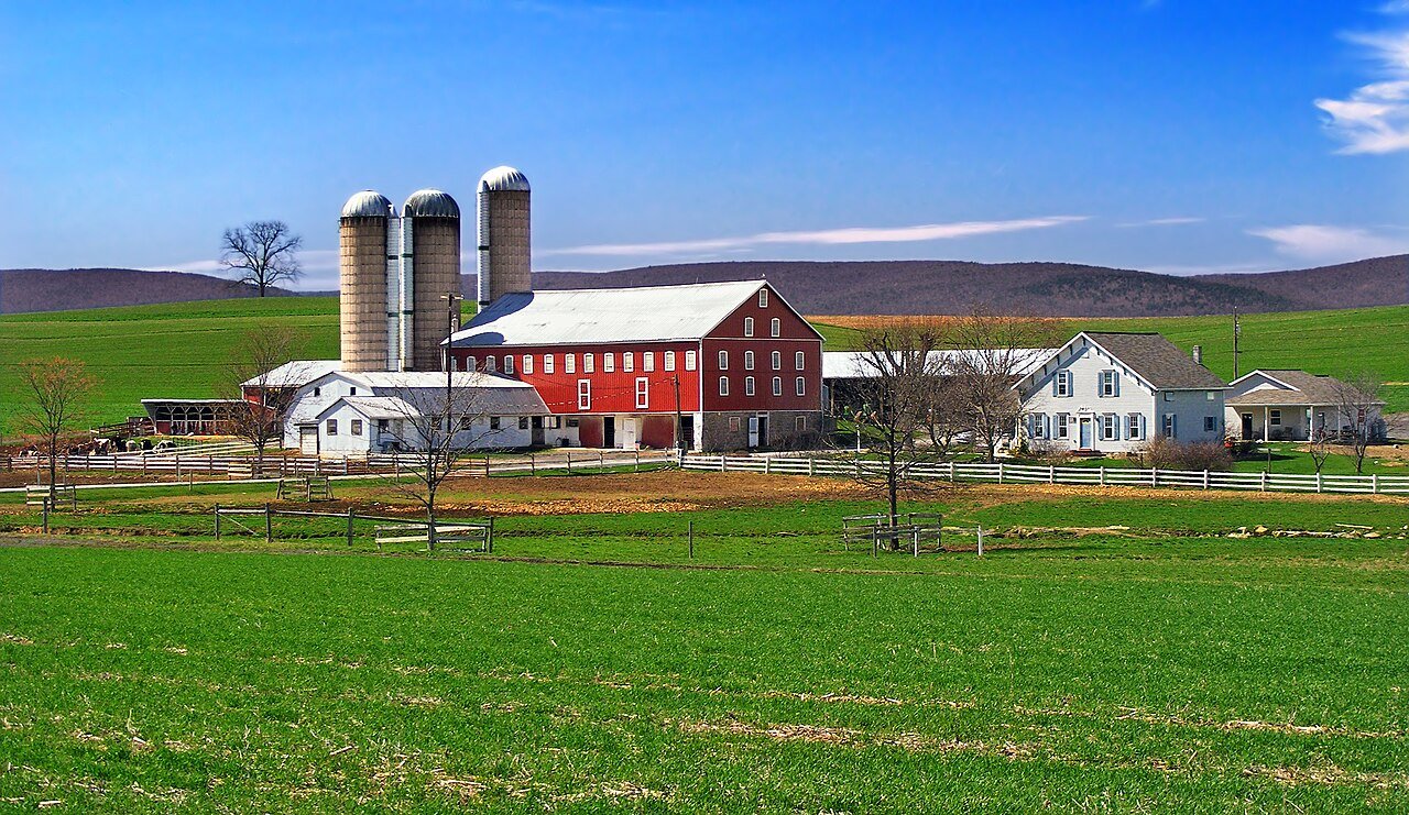 Buffalo