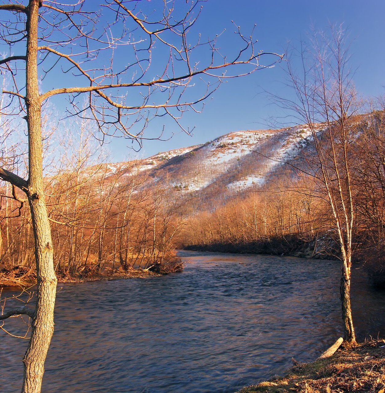 East Penn