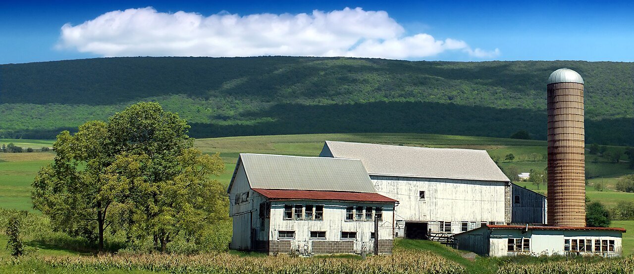 Tilden