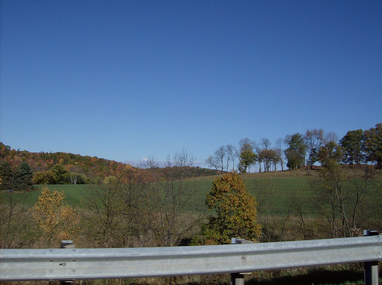 North Buffalo