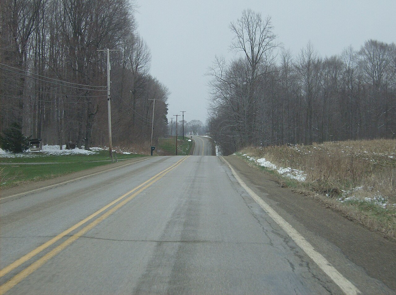 Hickory